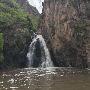 Meet your Posher, Alma